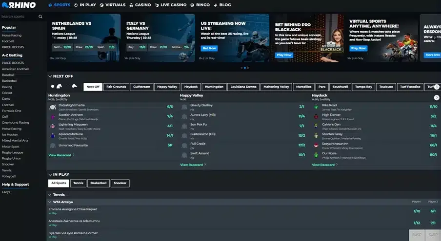 Rhino Casino Desktop screenshot